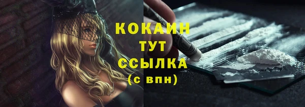 apvp Новозыбков