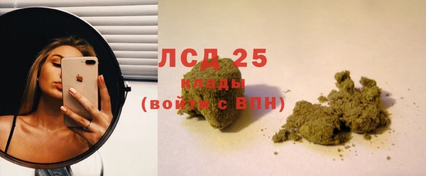 ПСИЛОЦИБИНОВЫЕ ГРИБЫ Арсеньев
