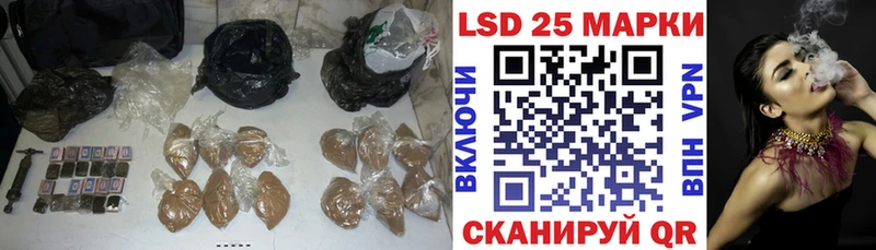 LSD-25 экстази ecstasy  как найти наркотики  Светлогорск 