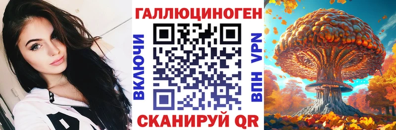 как найти закладки  Светлогорск  Псилоцибиновые грибы GOLDEN TEACHER 